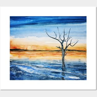 Lonely tree on the shore Posters and Art